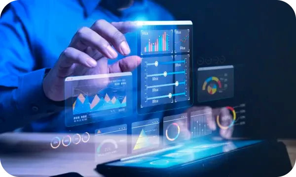 Monsteadoria capital management